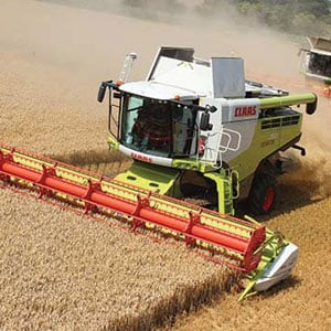 Landbouw