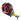 Image with missing alt attribute found on teh.biz.ua