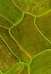 Image with missing alt attribute found on commonfloor.com