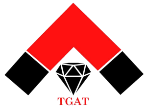 Image with missing alt attribute found on tgat20.com