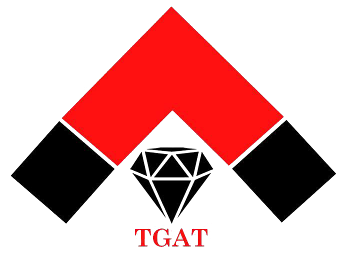Image with missing alt attribute found on tgat20.com