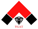 Image with missing alt attribute found on tgat20.com