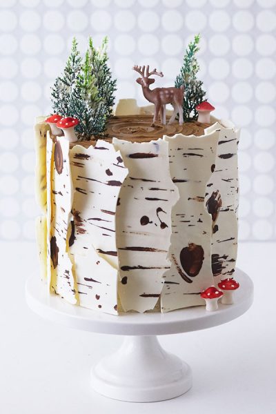 Image with missing alt attribute found on thecakeblog.com