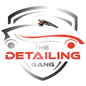 TDG Logo