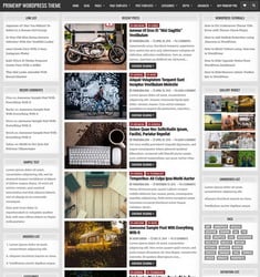 PrimeWP WP Theme