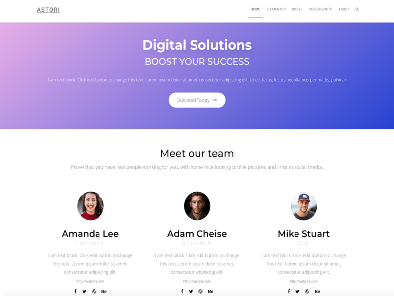 OrionWP Free WordPress Theme