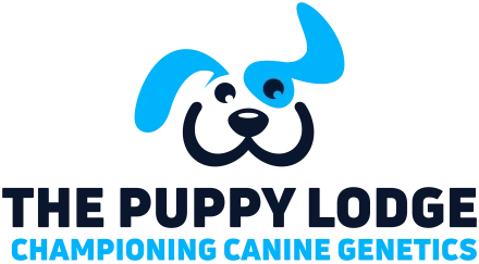 Image with missing alt attribute found on thepuppylodge.com