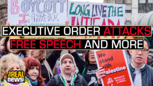 Image with missing alt attribute found on therealnews.com