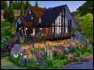 Image with missing alt attribute found on thesimsresource.com