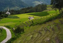 Ziro