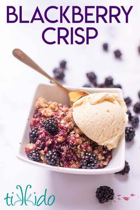 The Best Blackberry Crisp Recipe