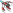 Image with missing alt attribute found on teamliquid.net