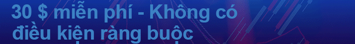 Image with missing alt attribute found on traderviet.com