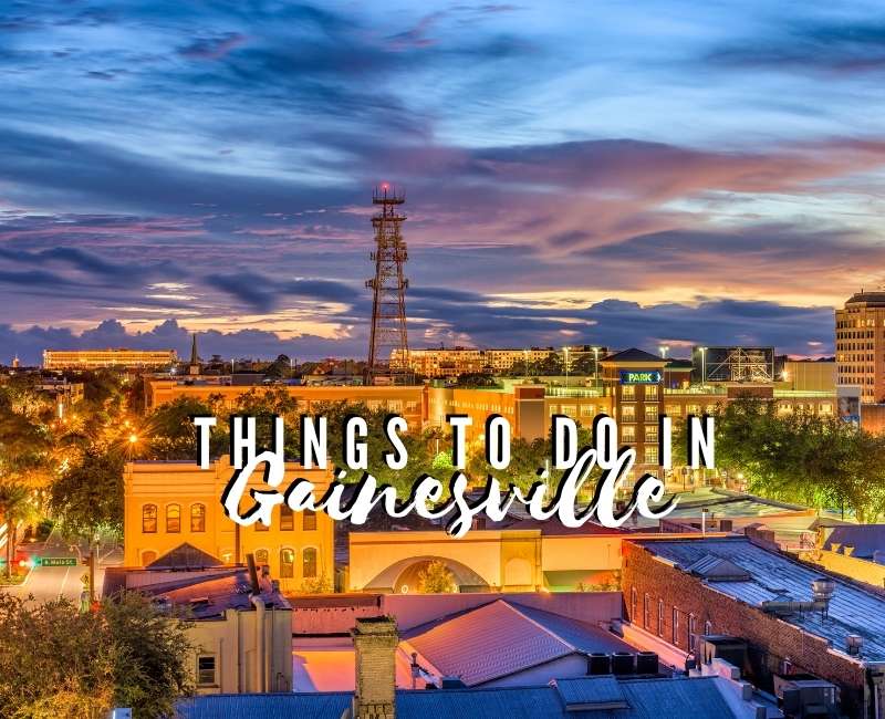 Things To Do In Gainesville