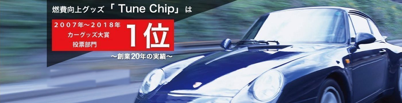 Image with missing alt attribute found on tunechip.com