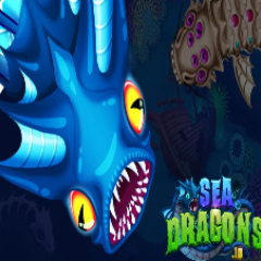 SeaDragons io