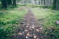 Image with missing alt attribute found on fotorama.io