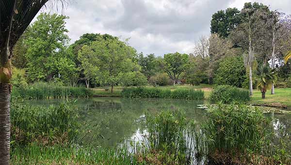 lake cam thumbnail
