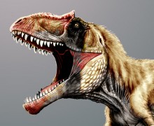Image with missing alt attribute found on untamedscience.com