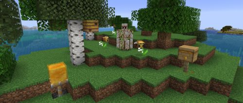 Image with missing alt attribute found on fr-minecraft.net