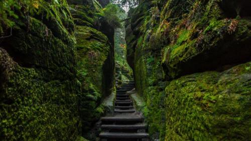 Saxon Switzerland National Park, Germany (&copy; Andreas Vogel/500px) Bing Everyday Wallpaper 2016-10-23 /tmp/UploadBetaG22whH [Bing Everyday Wall Paper 2016-10-23] url = http://www.bing.com/az/hprichbg/rb/SachsischeSchweiz_EN-AU11350891933_1920x1080.jpg  File Size (KB): 330.08 KB Last Modified: May 08 2017 15:09:59