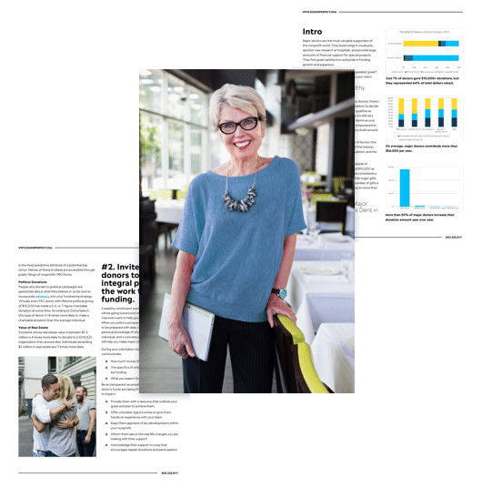 major donors ebook