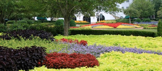 Landscaping