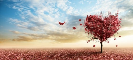 Opinions, Theories, Definitions, and Quotes on Love