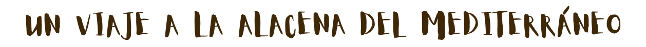 Image with missing alt attribute found on valenciaplaza.com