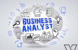 Business Analyst