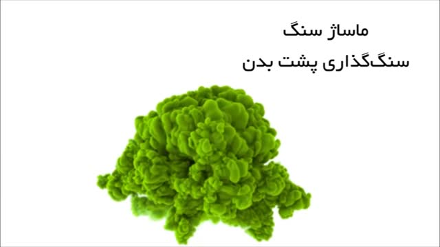 Image with missing alt attribute found on dalfak.com