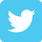 twitter il famoso social network