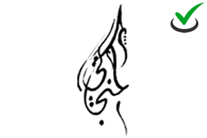 Image with missing alt attribute found on websiteroof.com