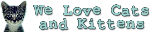 Image with missing alt attribute found on welovecatsandkittens.com