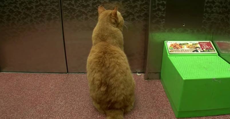 elevator