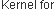 Image with missing alt attribute found on downloaddatarecovery.com