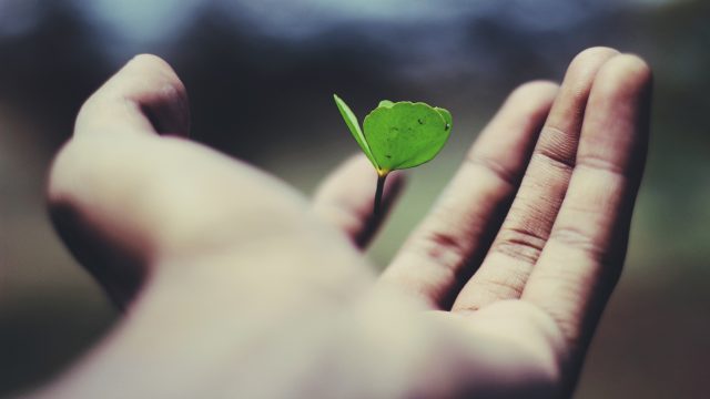 Image with missing alt attribute found on biologos.org