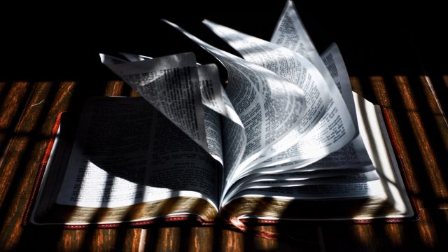 Image with missing alt attribute found on biologos.org