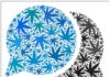 Image with missing alt attribute found on 420magazine.com