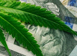 Image with missing alt attribute found on 420magazine.com