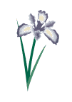 Image with missing alt attribute found on about-garden.com