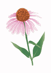 Image with missing alt attribute found on about-garden.com