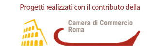 Image with missing alt attribute found on acerweb.it