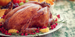 thanksgiving turkey on a platter