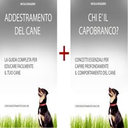 Image with missing alt attribute found on deltos.it
