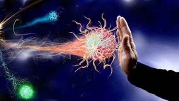 Image with missing alt attribute found on ahlmasrnews.com