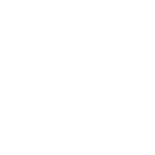Image with missing alt attribute found on aia.com