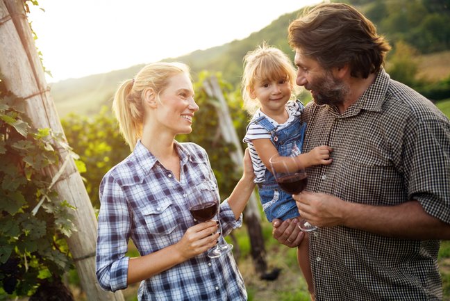 Family-Friendly Wine Tour