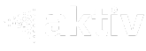 Aktiv Software