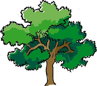 Image with missing alt attribute found on alislam.org
